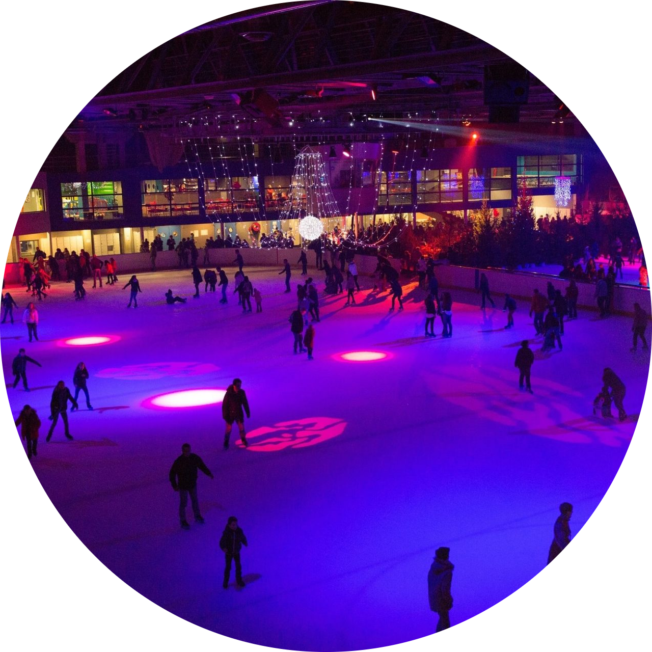 Patinoire - Le Blizz