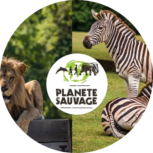Planète sauvage