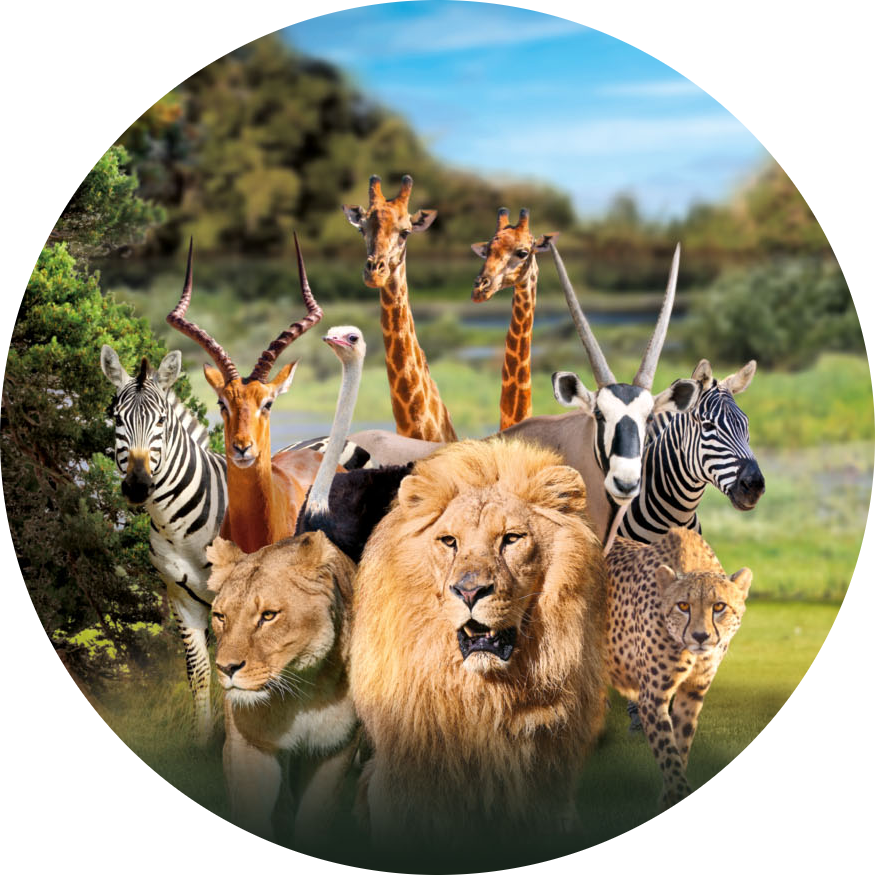 Zoo de la flèche